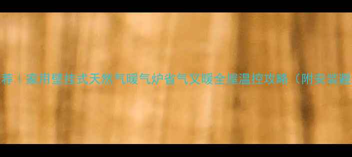 图片 🔥爆款推荐｜家用壁挂式天然气暖气炉省气又暖全屋温控攻略（附安装避坑指南）