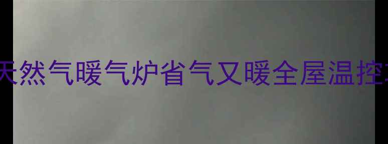 图片 🔥爆款推荐｜家用壁挂式天然气暖气炉省气又暖全屋温控攻略（附安装避坑指南）1