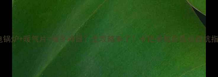 电锅炉暖气片暖冬神器全攻略来了手把手教你选装避坑指南