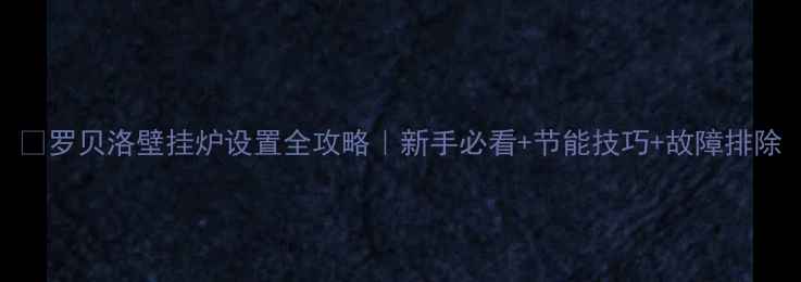 图片 🔥罗贝洛壁挂炉设置全攻略｜新手必看+节能技巧+故障排除