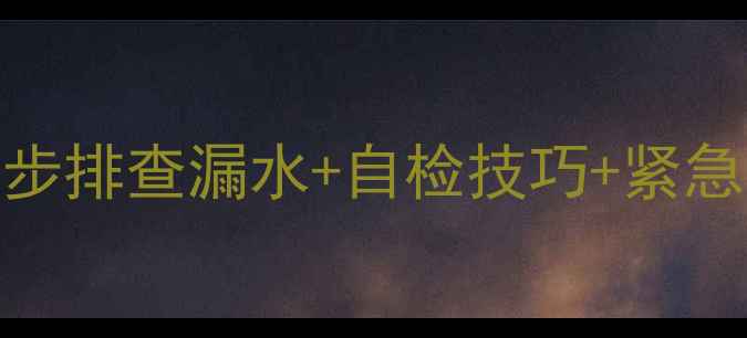 图片 🔥老房暖气试水全攻略：3步排查漏水+自检技巧+紧急处理指南（附视频教程）1