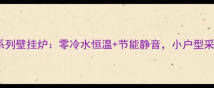 图片 🔥能率A4系列壁挂炉：零冷水恒温+节能静音，小户型采暖神器🔥1