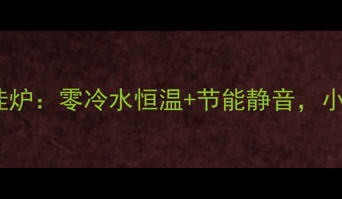 图片 🔥能率A4系列壁挂炉：零冷水恒温+节能静音，小户型采暖神器🔥2