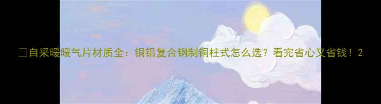 图片 🔥自采暖暖气片材质全：铜铝复合钢制铜柱式怎么选？看完省心又省钱！2