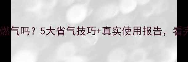图片 🔥艾瑞科壁挂炉费燃气吗？5大省气技巧+真实使用报告，看完省下半年电费！1
