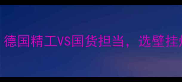 图片 🔥菲斯曼VS威能：德国精工VS国货担当，选壁挂炉必看硬核对比！