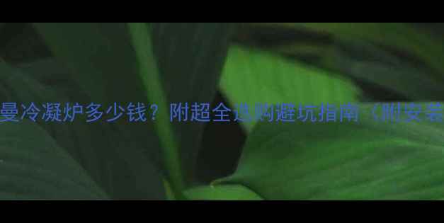 图片 🔥菲斯曼冷凝炉多少钱？附超全选购避坑指南（附安装攻略）