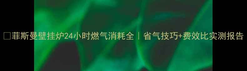 图片 🔥菲斯曼壁挂炉24小时燃气消耗全｜省气技巧+费效比实测报告
