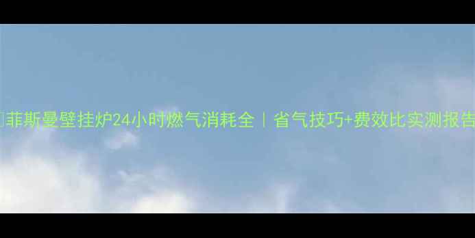 图片 🔥菲斯曼壁挂炉24小时燃气消耗全｜省气技巧+费效比实测报告1