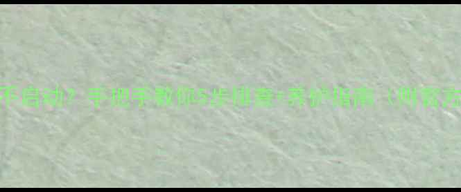 菲斯曼壁挂炉不启动手把手教你5步排查养护指南附官方售后联系方式