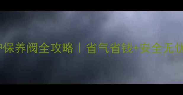 图片 🔥菲斯曼壁挂炉保养阀全攻略｜省气省钱+安全无忧的采暖秘籍🔥2