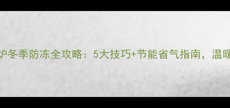 菲斯曼壁挂炉冬季防冻全攻略5大技巧节能省气指南温暖过冬不踩坑