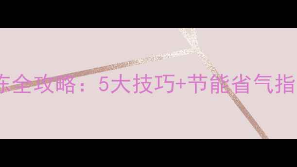 图片 🔥菲斯曼壁挂炉冬季防冻全攻略：5大技巧+节能省气指南，温暖过冬不踩坑！2