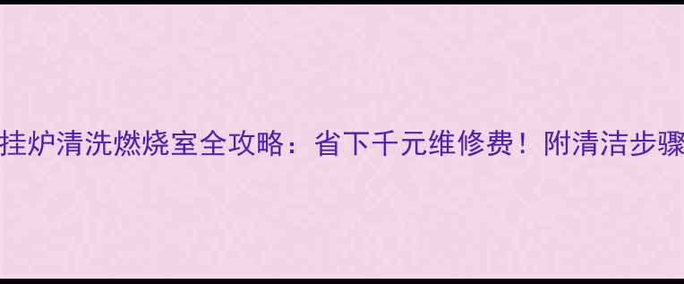 图片 🔥菲斯曼壁挂炉清洗燃烧室全攻略：省下千元维修费！附清洁步骤+自检清单1