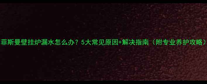 菲斯曼壁挂炉漏水怎么办5大常见原因解决指南附专业养护攻略