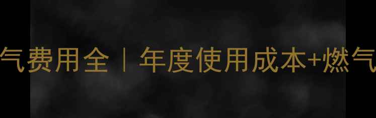 图片 🔥菲斯曼壁挂炉燃气费用全｜年度使用成本+燃气消耗量+费用对比1
