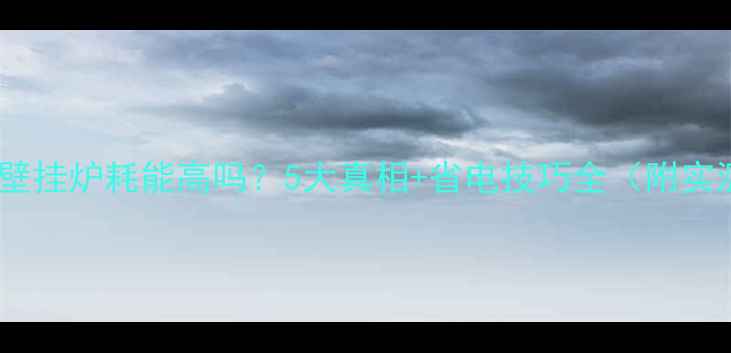 菲斯曼壁挂炉耗能高吗5大真相省电技巧全附实测数据