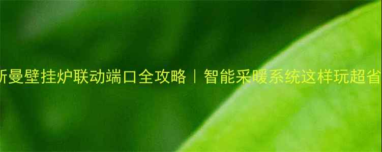 菲斯曼壁挂炉联动端口全攻略智能采暖系统这样玩超省心