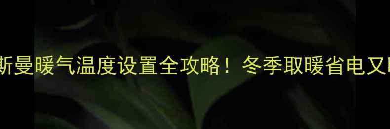 图片 🔥菲斯曼暖气温度设置全攻略！冬季取暖省电又暖和1