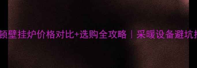 图片 🔥菲斯顿壁挂炉价格对比+选购全攻略｜采暖设备避坑指南💡2