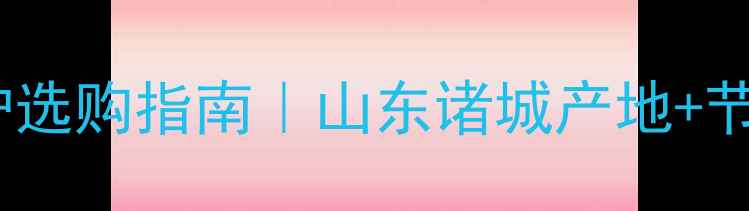 图片 🔥诺科壁挂炉选购指南｜山东诸城产地+节能环保全🔥1