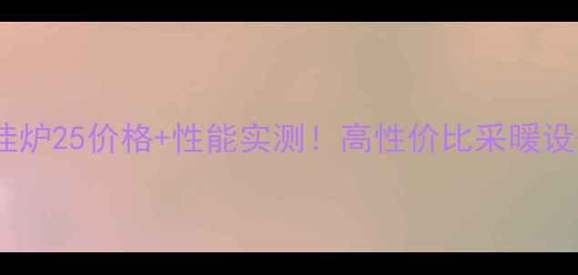 图片 🔥贝雷塔壁挂炉25价格+性能实测！高性价比采暖设备选购指南1