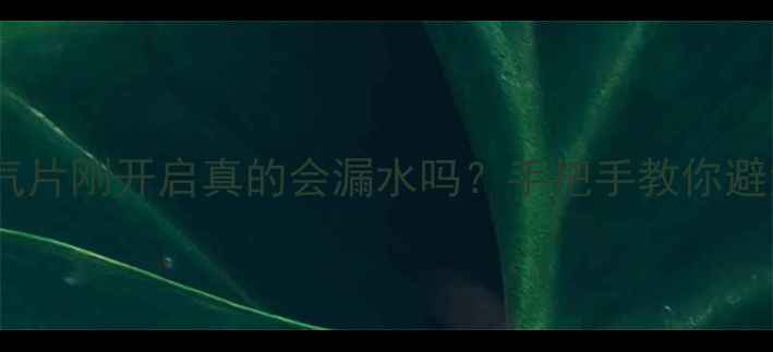 图片 🔥通暖前必看！暖气片刚开启真的会漏水吗？手把手教你避免冬季水漫金山！2