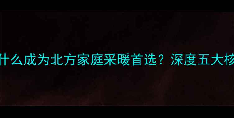 图片 🔥阿里斯顿壁挂炉为什么成为北方家庭采暖首选？深度五大核心优势与避坑指南💡