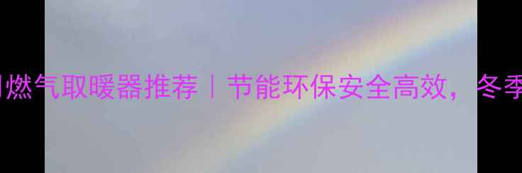 高性价比家用燃气取暖器推荐节能环保安全高效冬季取暖神器指南